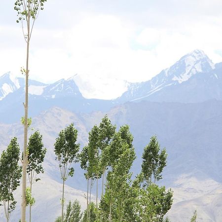 Hotel Kasdar Ladakh Leh Bagian luar foto