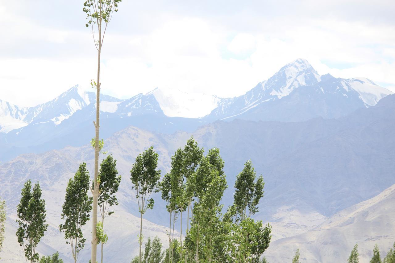 Hotel Kasdar Ladakh Leh Bagian luar foto
